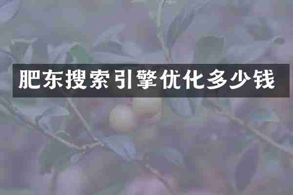 肥东搜索引擎优化多少钱