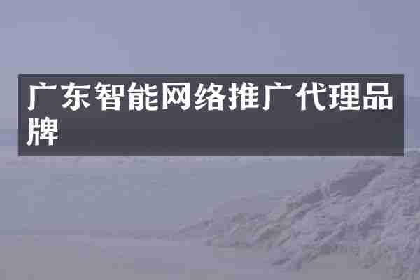 广东智能网络推广代理品牌