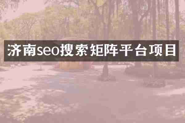 济南seo搜索矩阵平台项目