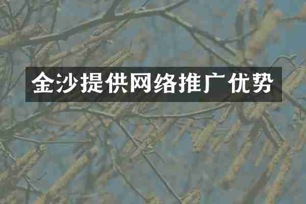 金沙提供网络推广优势