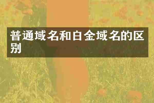 普通域名和白金域名的区别