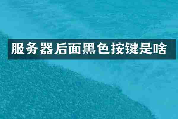 服务器后面黑色按键是啥
