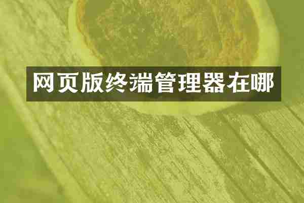 网页版终端管理器在哪