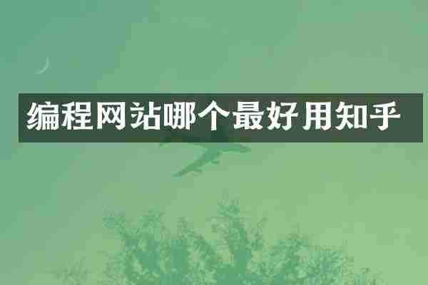 编程网站哪个最好用知乎