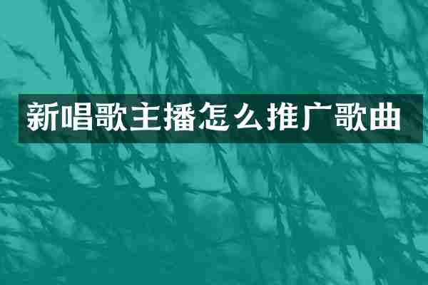 新唱歌主播怎么推广歌曲