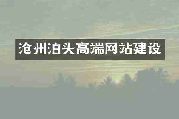 沧州泊头高端网站建设