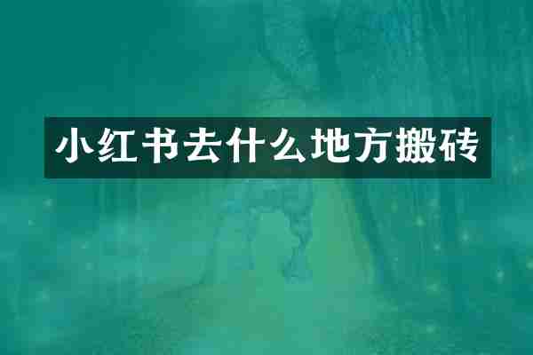 小红书去什么地方搬砖