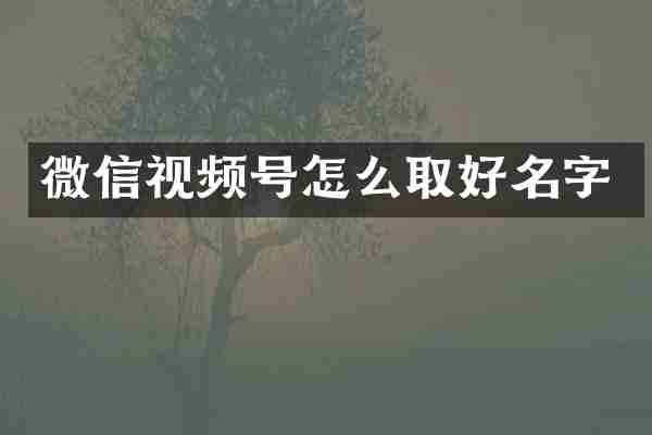 微信视频号怎么取好名字