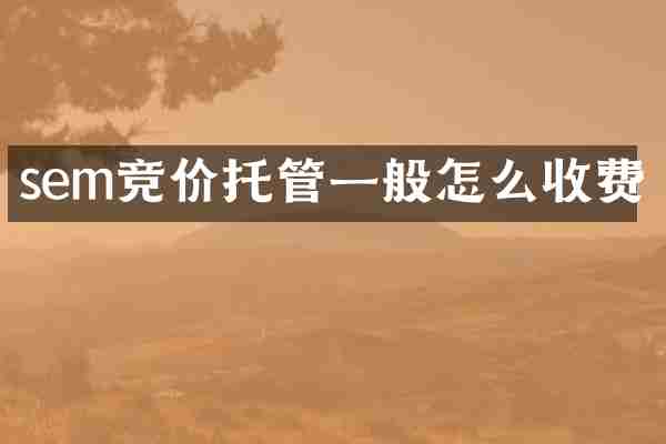 sem竞价托管一般怎么收费