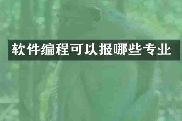 软件编程可以报哪些专业