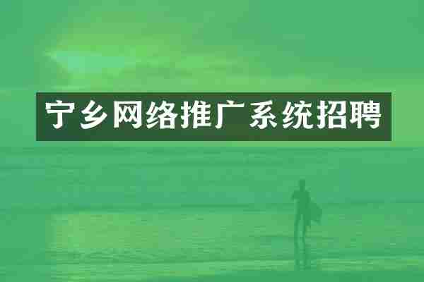 宁乡网络推广系统招聘