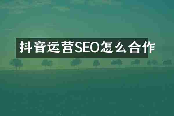 抖音运营SEO怎么合作