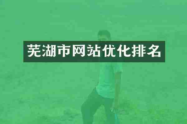 芜湖市网站优化排名