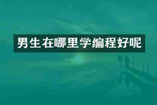 男生在哪里学编程好呢