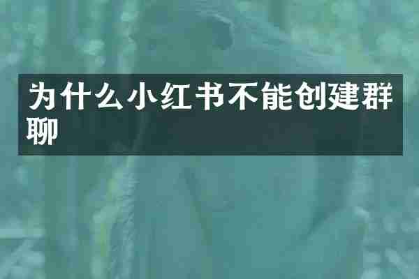 为什么小红书不能创建群聊