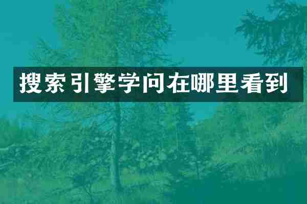 搜索引擎学问在哪里看到