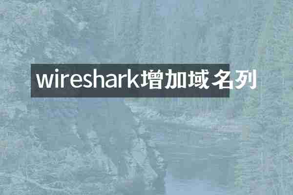 wireshark增加域名列