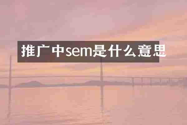 推广中sem是什么意思