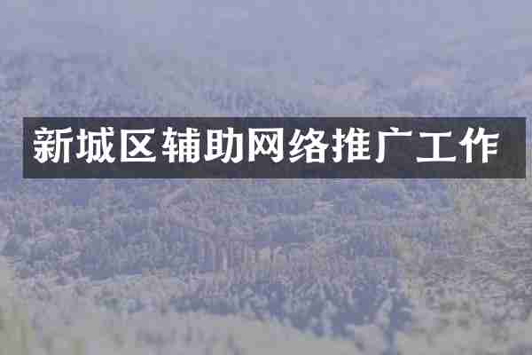 新城区辅助网络推广工作