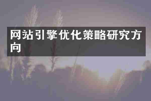 网站引擎优化策略研究方向