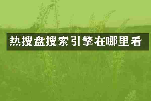 热搜盘搜索引擎在哪里看