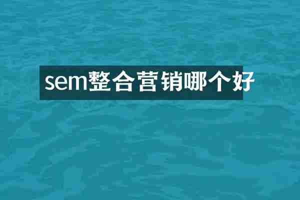 sem整合营销哪个好