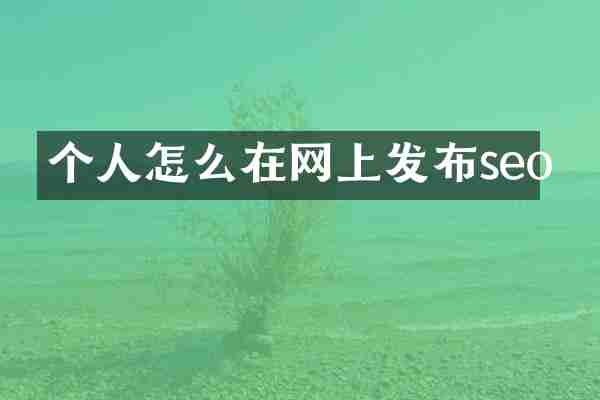 个人怎么在网上发布seo