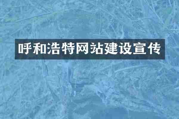呼和浩特网站建设宣传