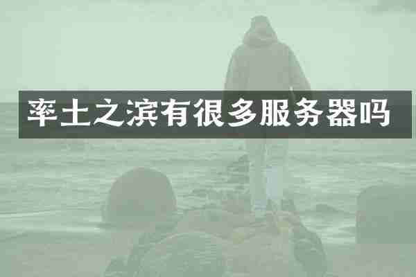 率土之滨有很多服务器吗