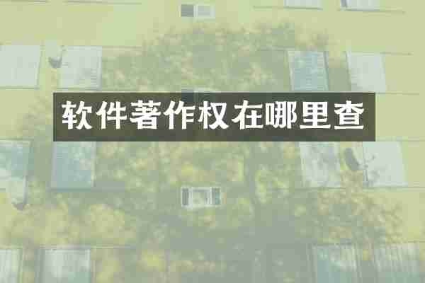 软件著作权在哪里查