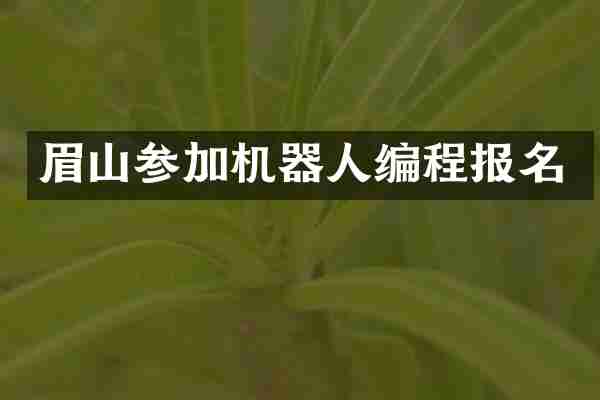 眉山参加机器人编程报名