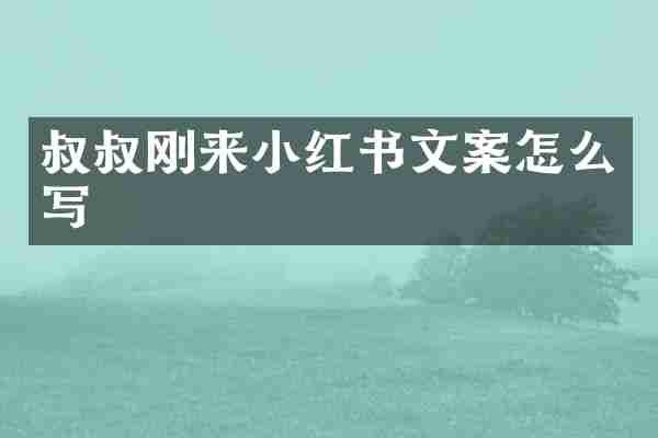 叔叔刚来小红书文案怎么写