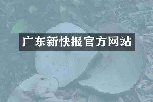 广东新快报官方网站