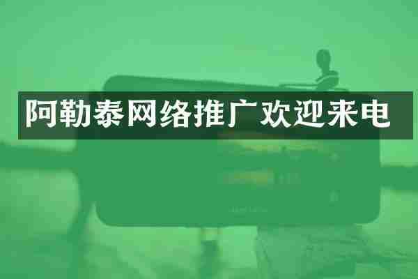 阿勒泰网络推广欢迎来电