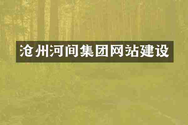 沧州河间集团网站建设