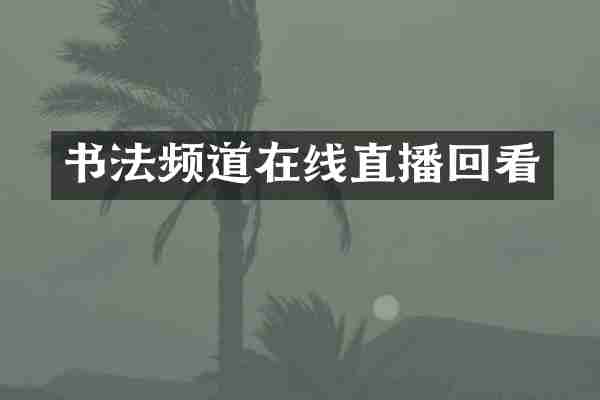 书法频道在线直播回看