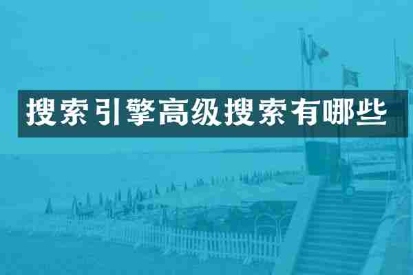 搜索引擎高级搜索有哪些