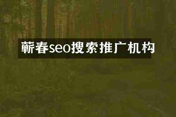 蕲春seo搜索推广机构