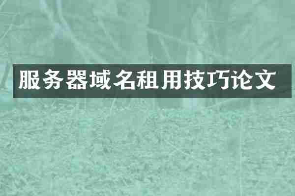 服务器域名租用技巧论文