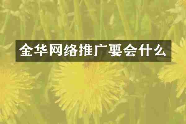 金华网络推广要会什么