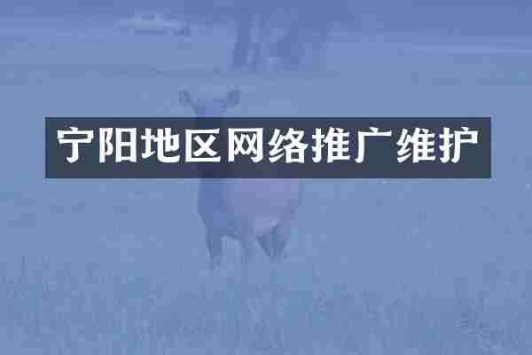 宁阳地区网络推广维护