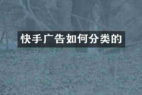 快手广告如何分类的