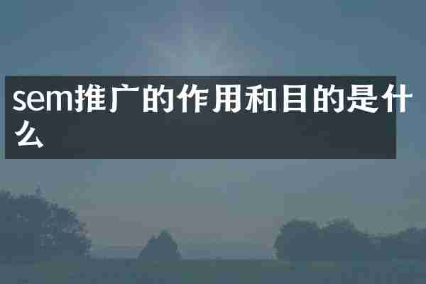 sem推广的作用和目的是什么