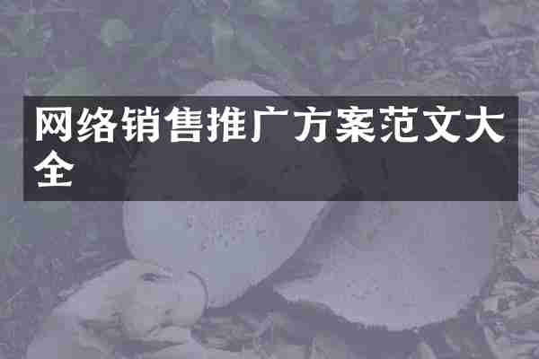 网络销售推广方案范文大全