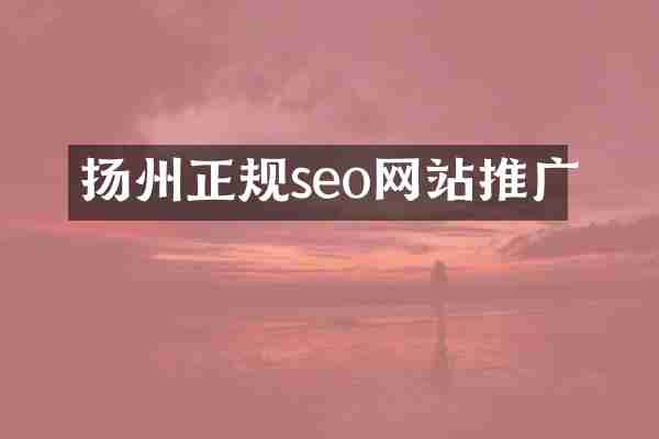 扬州正规seo网站推广