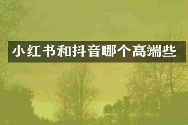 小红书和抖音哪个高端些
