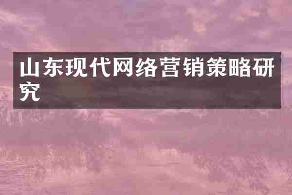 山东现代网络营销策略研究