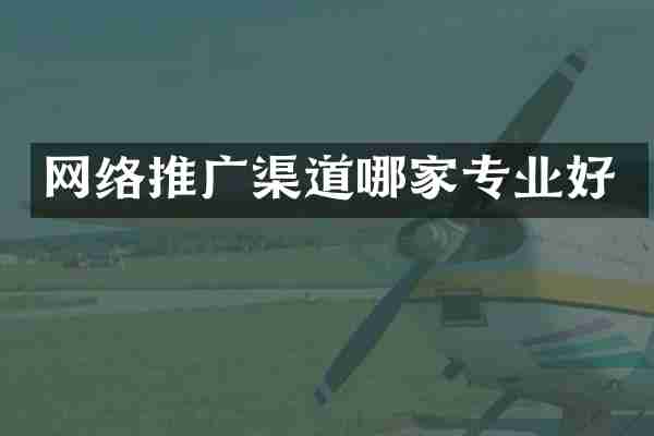 网络推广渠道哪家专业好
