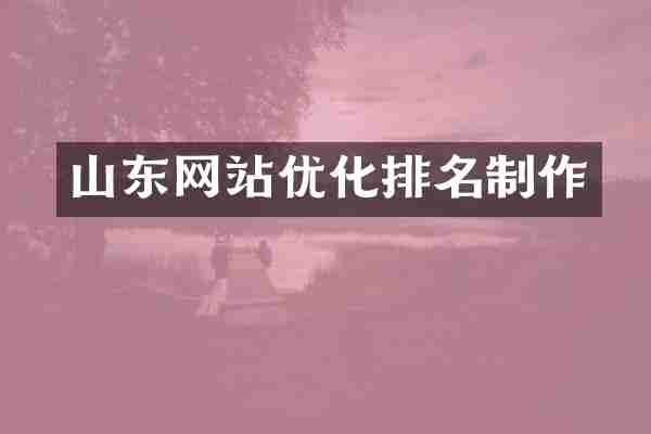 山东网站优化排名制作