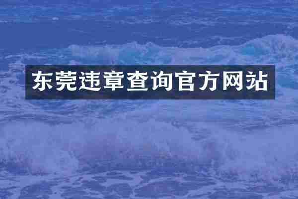 东莞违章查询官方网站
